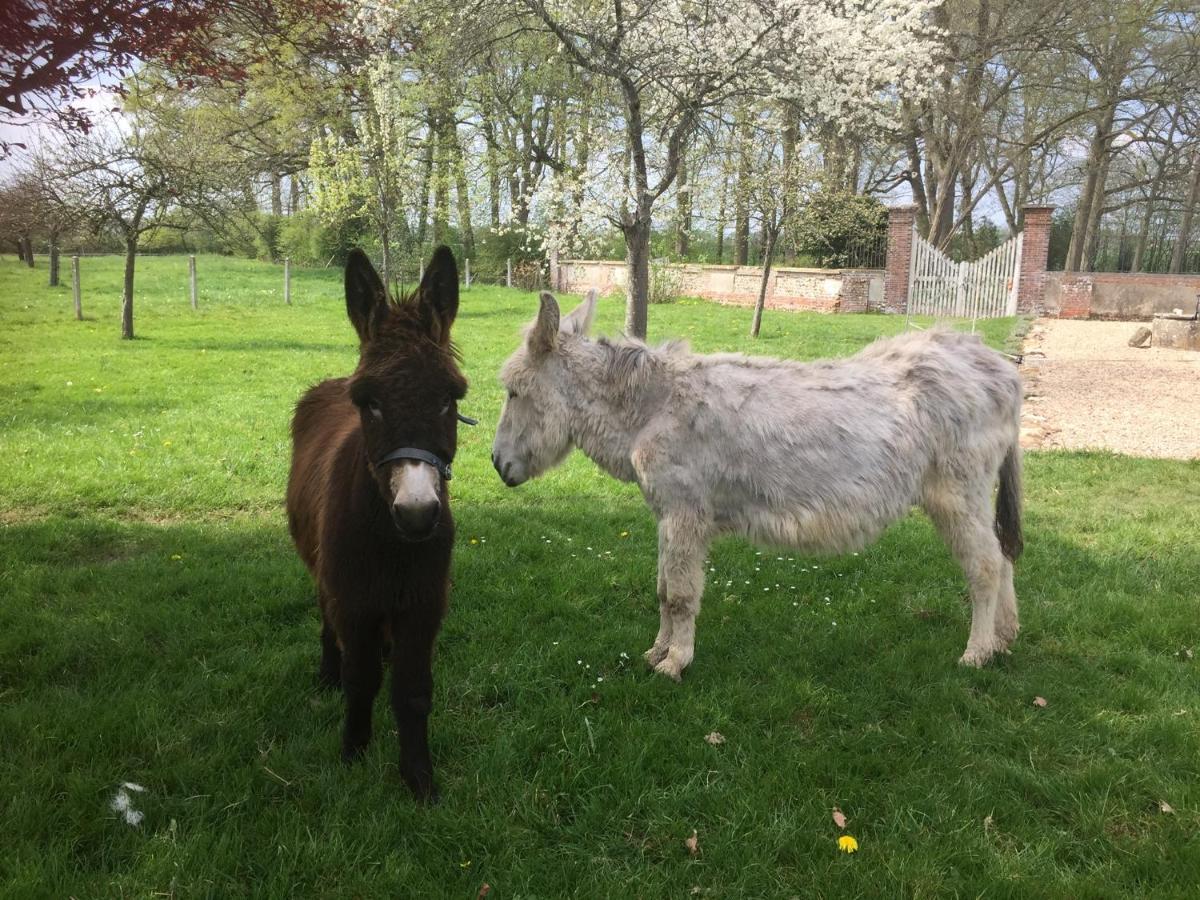 Le Rucher Bois-Normand-pres-Lyre Bagian luar foto