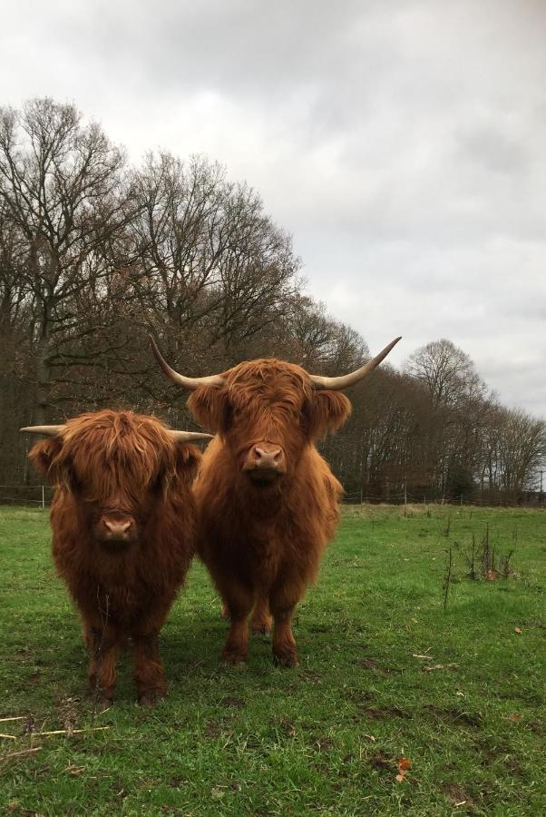 Le Rucher Bois-Normand-pres-Lyre Bagian luar foto