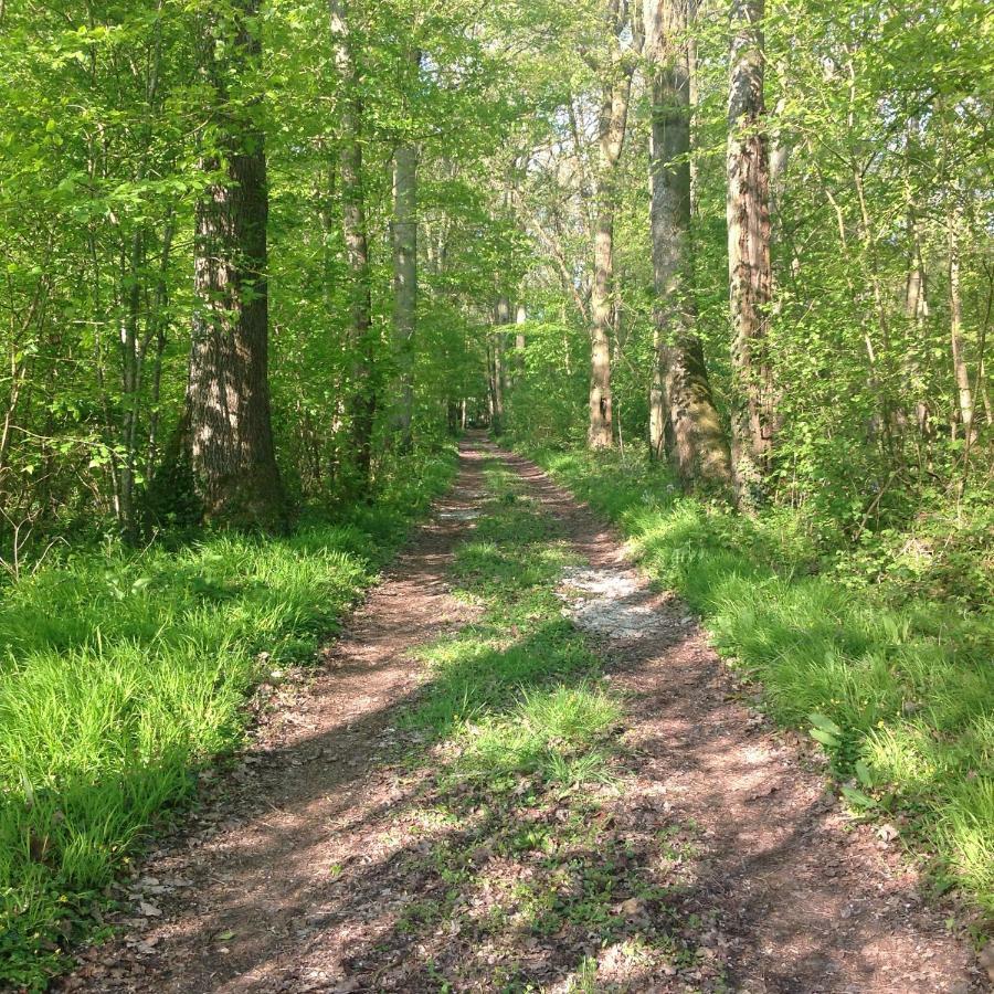 Le Rucher Bois-Normand-pres-Lyre Bagian luar foto
